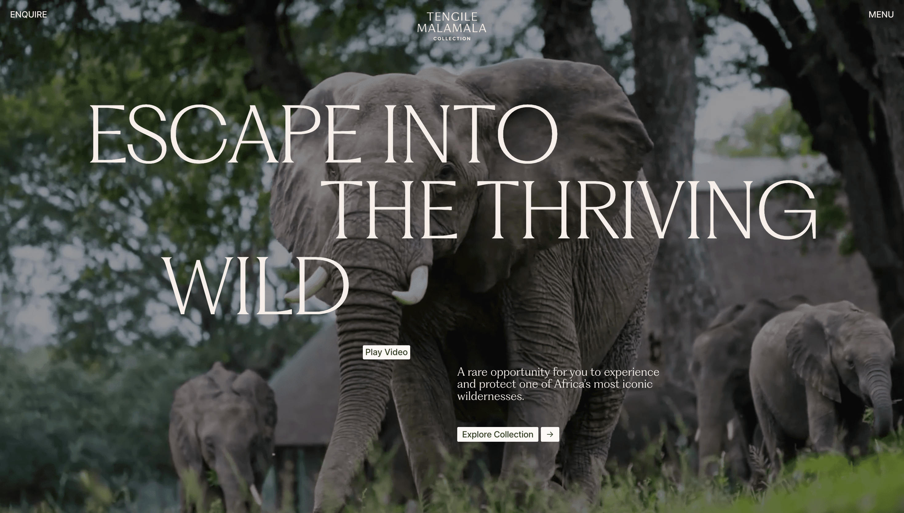 Tengile MalaMala — Travel, Outdoor website design