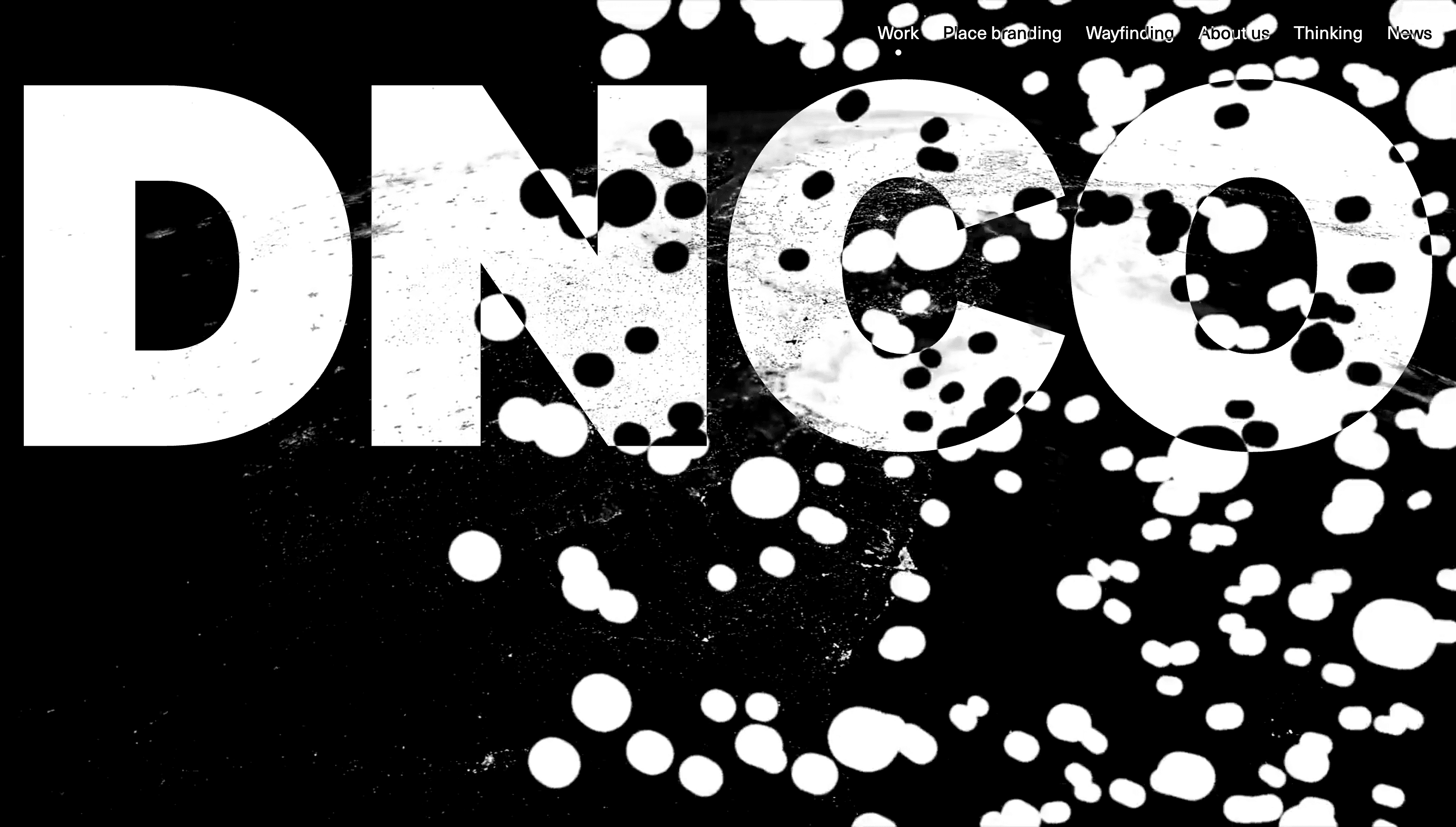 DNCO — Agency, Branding website design