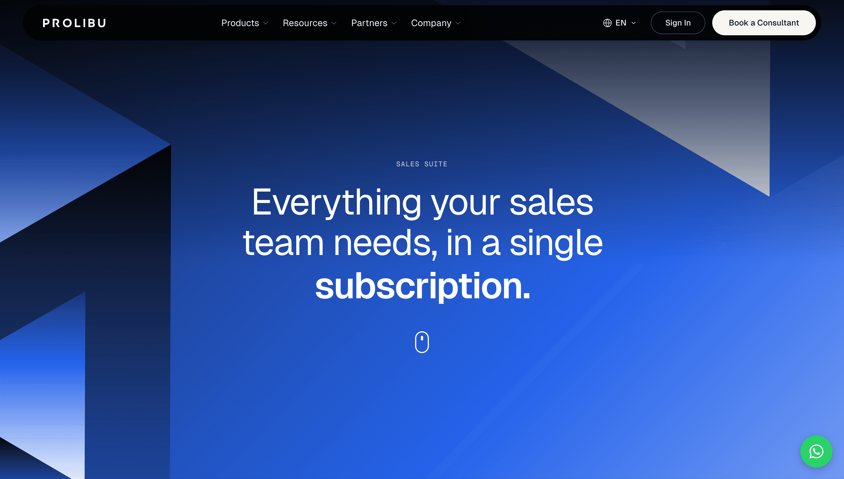 Prolibu — Tech, Productivity website design