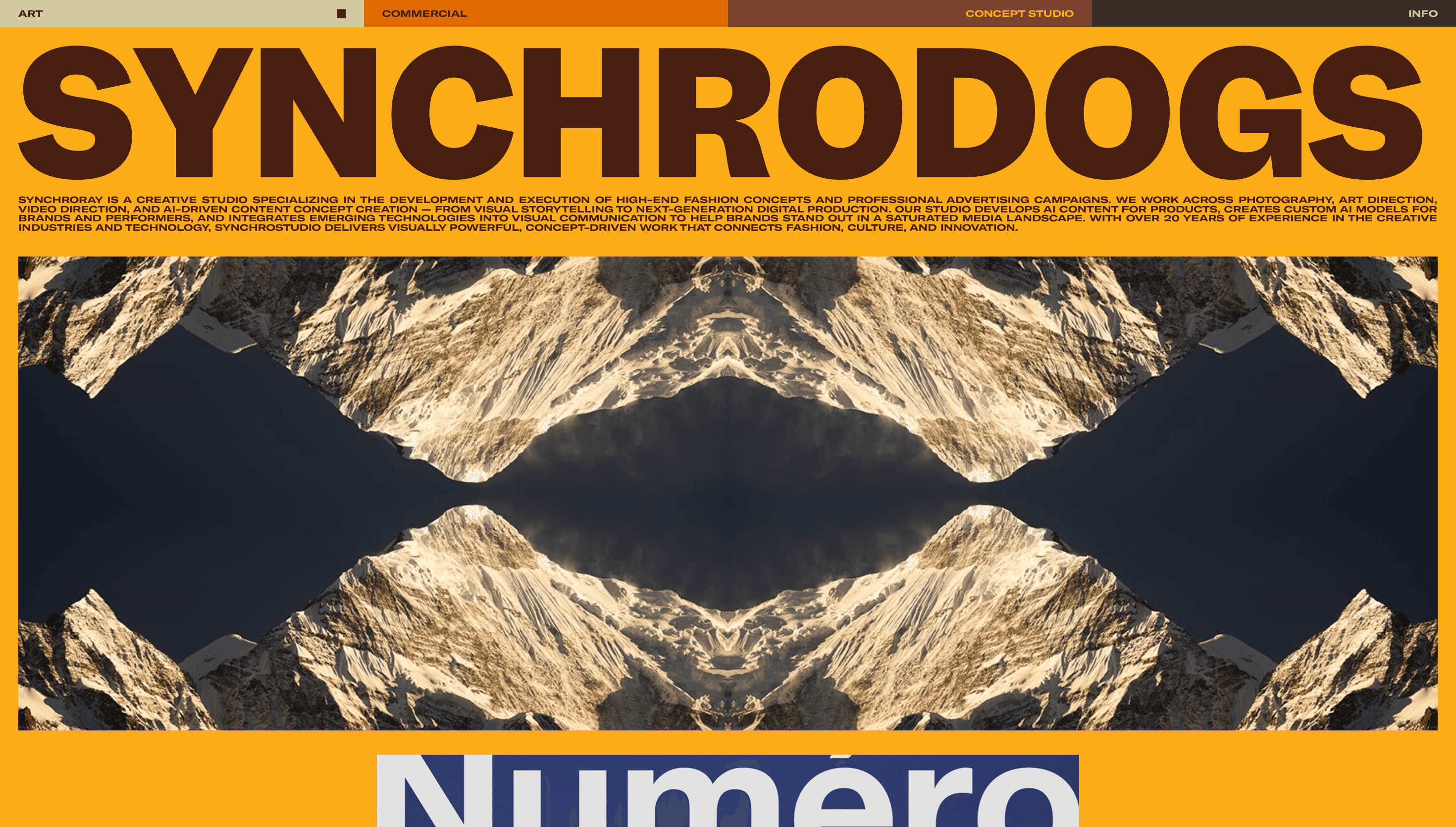 Synchrodogs — Fashion, Art website design