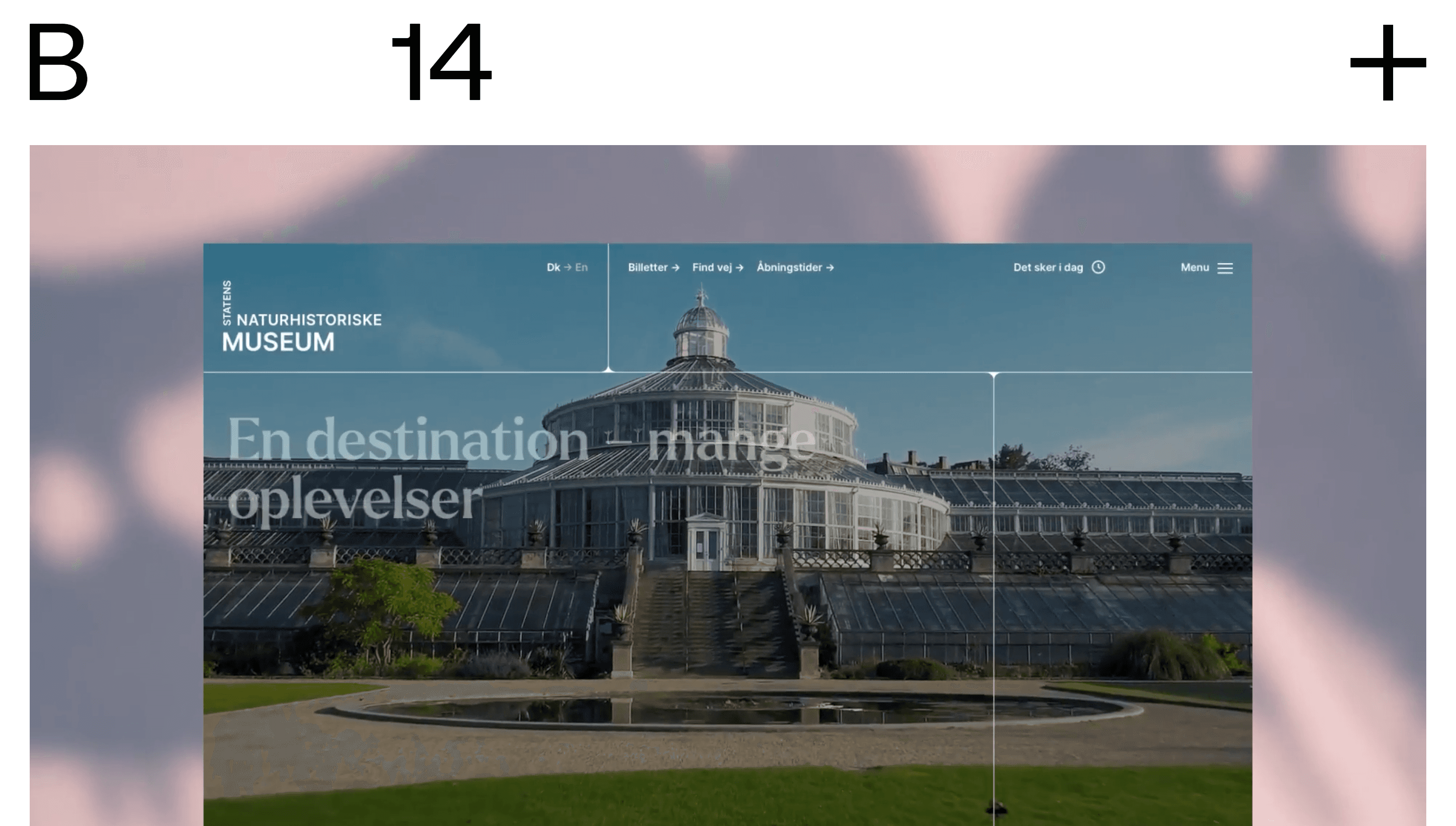 B14 — Agency, Branding website design