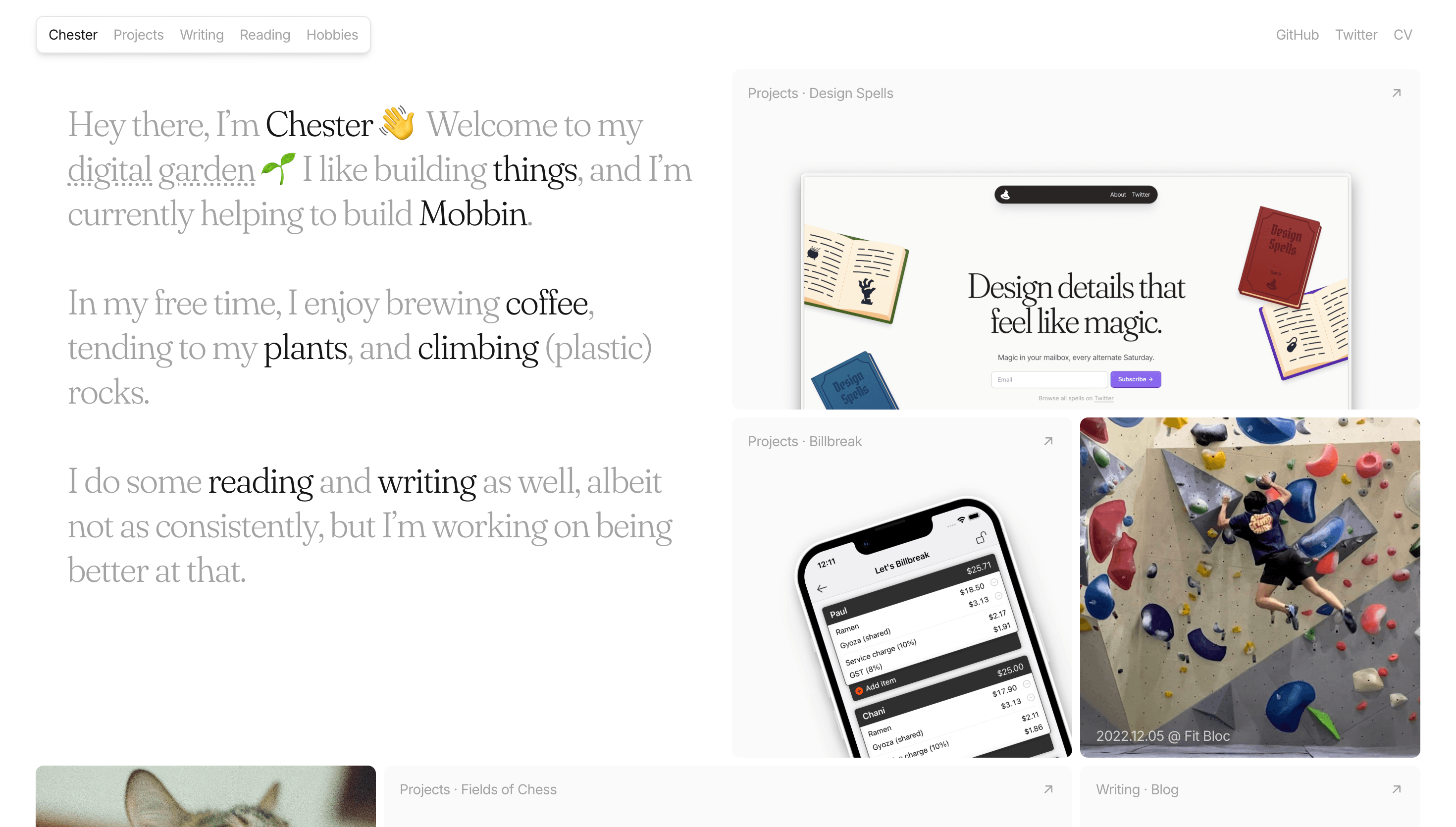 Chester How — Portfolio, Designer website design