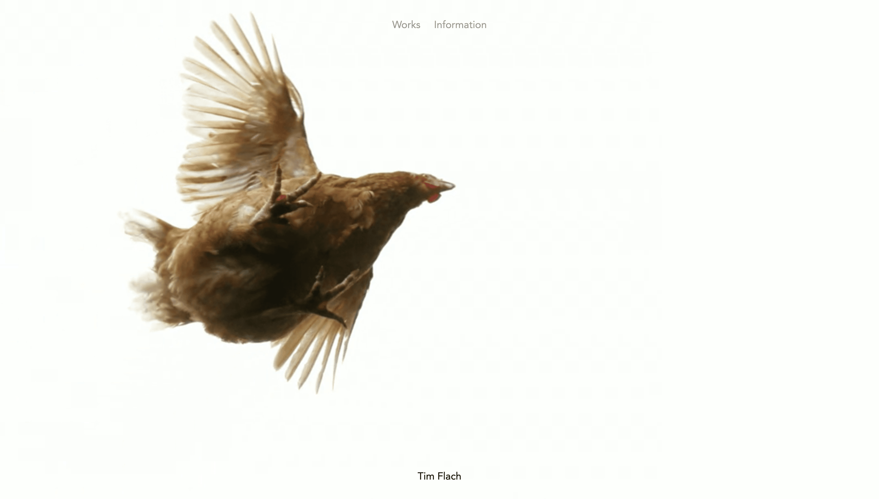 Tim Flach — Art, Portfolio website design