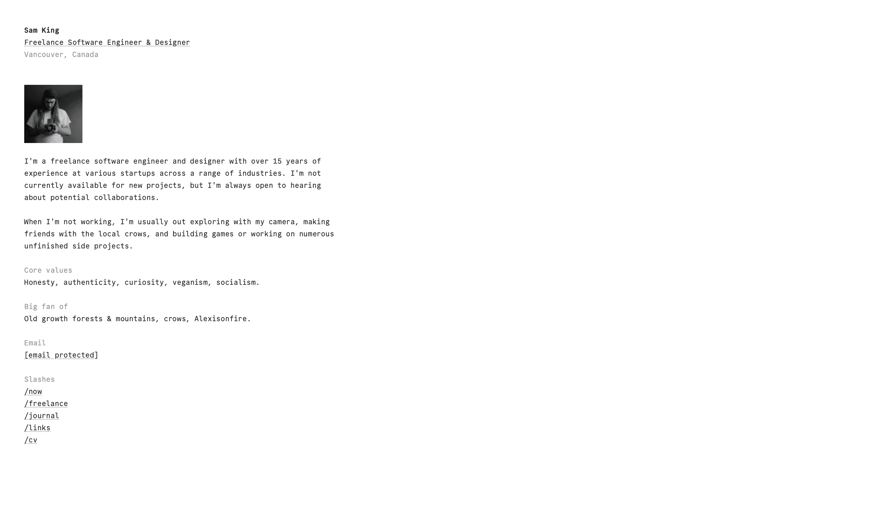 Sam King — Developer, Designer website design