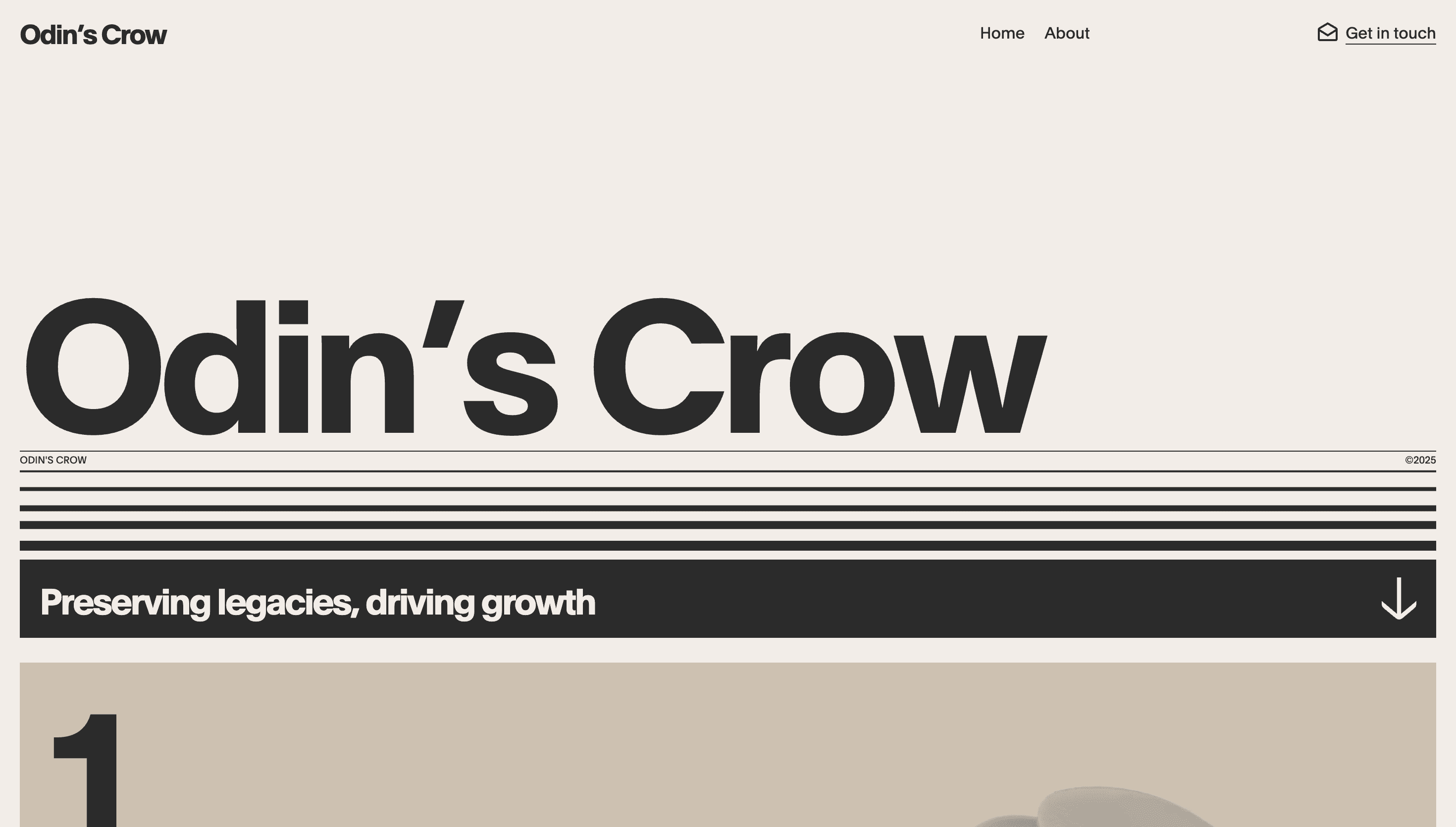 Odin's Crow — Corporate, Finance website design
