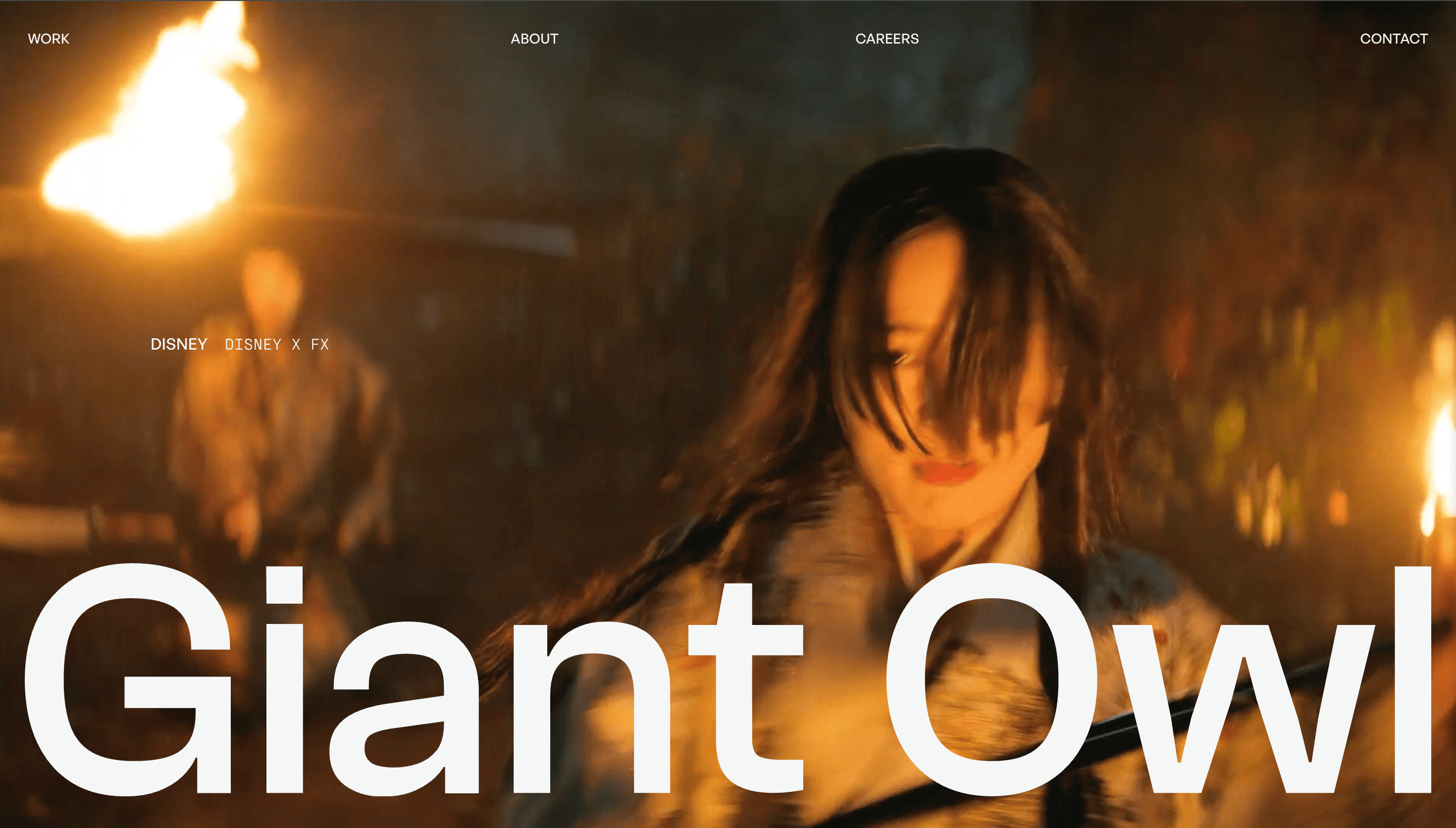 Giant Owl — Branding, Minimal website design