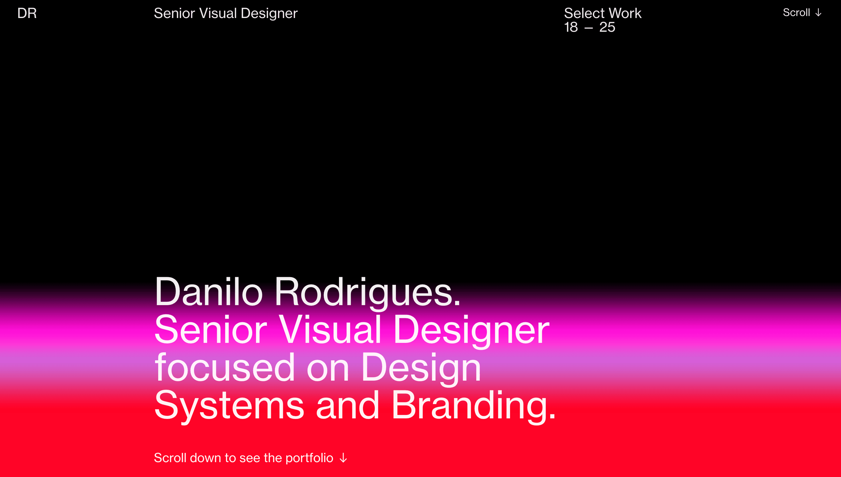 Danilo Rodrigues — Designer, Branding website design