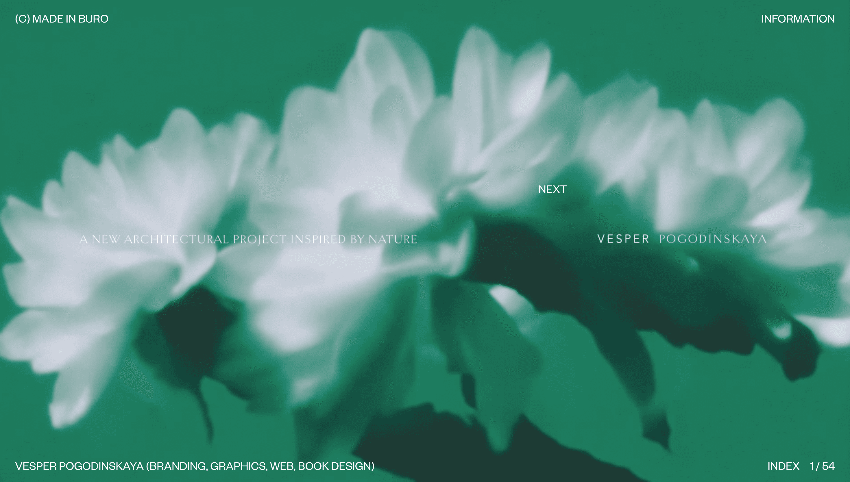 (С) MADE IN BURO — Agency, Branding website design