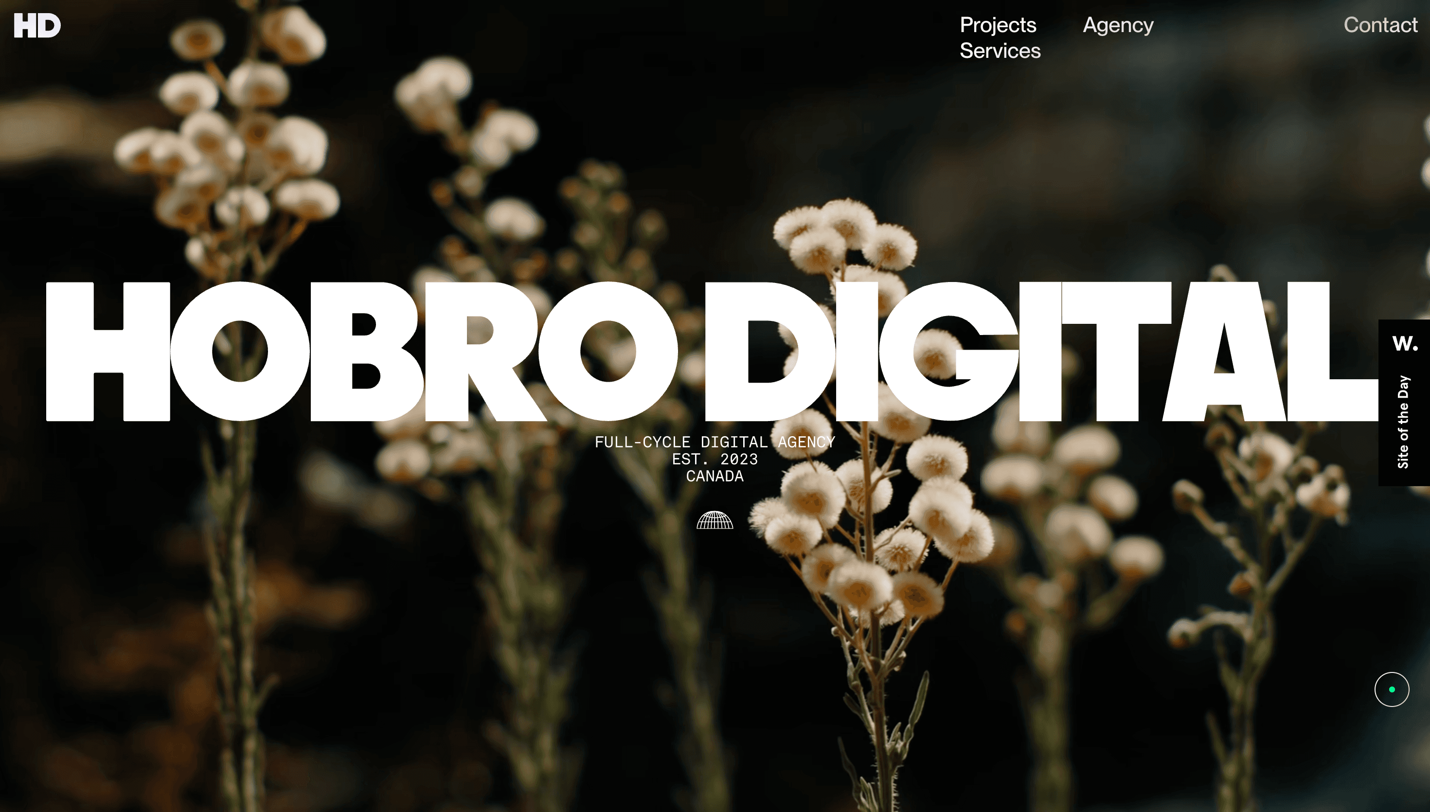 Hobro Digital — Agency, Studio website design