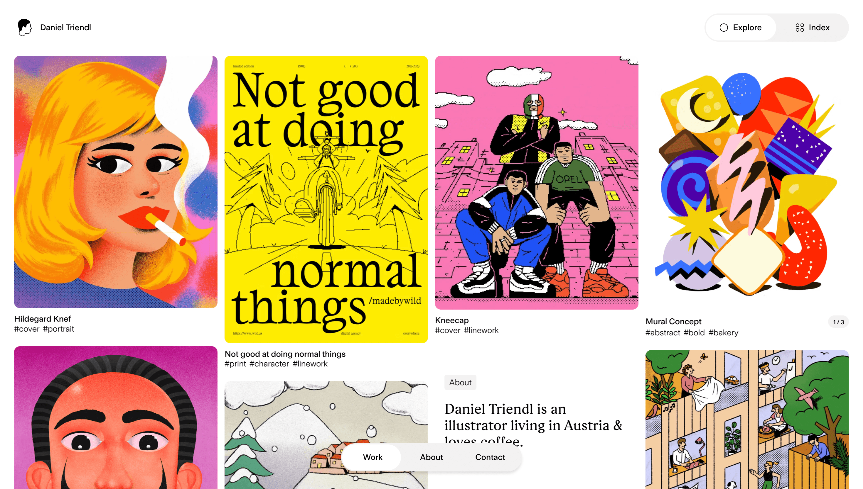 Daniel Triendl — Illustration, Art website design