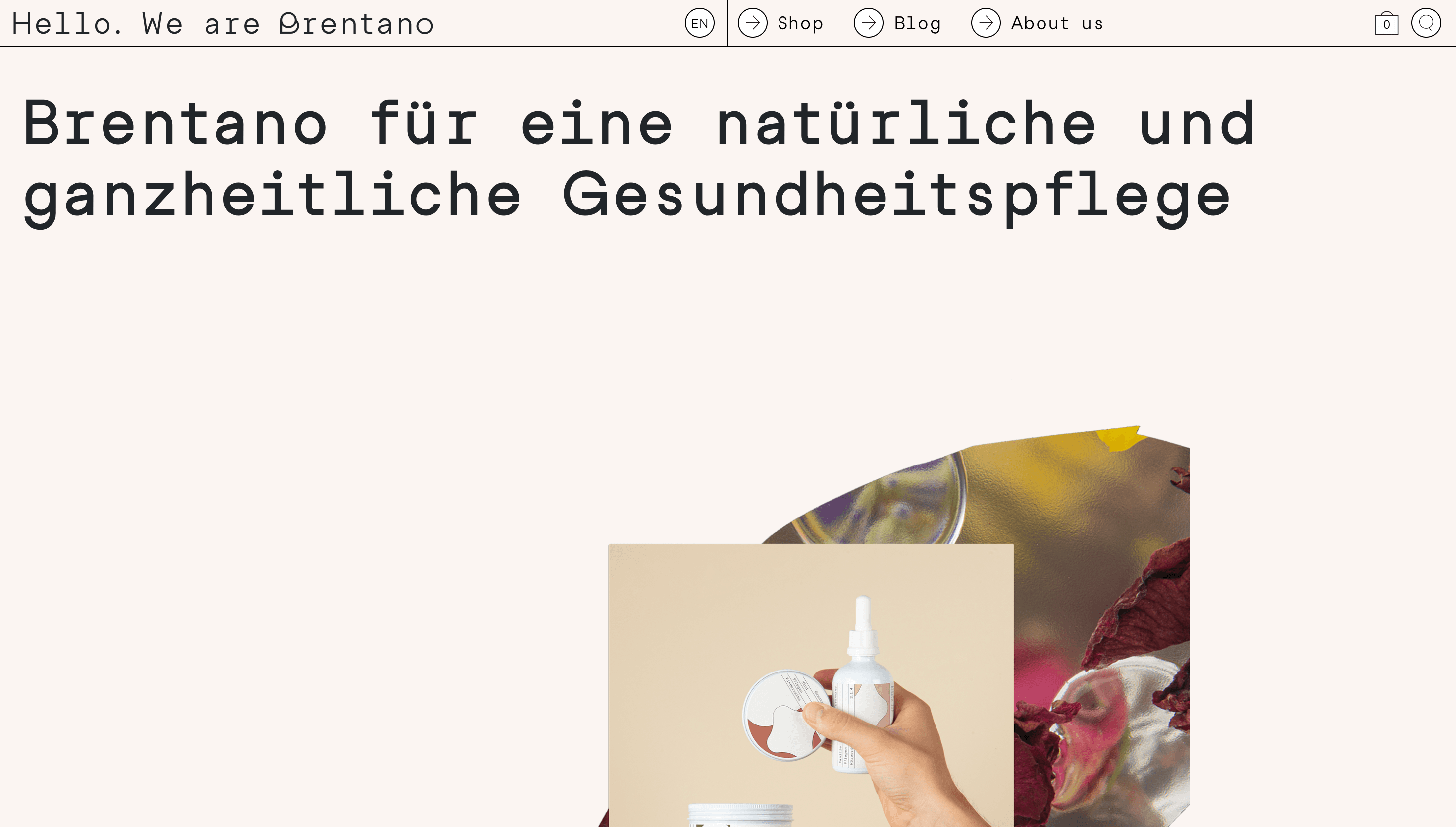 My Brentano — Health, Food website design