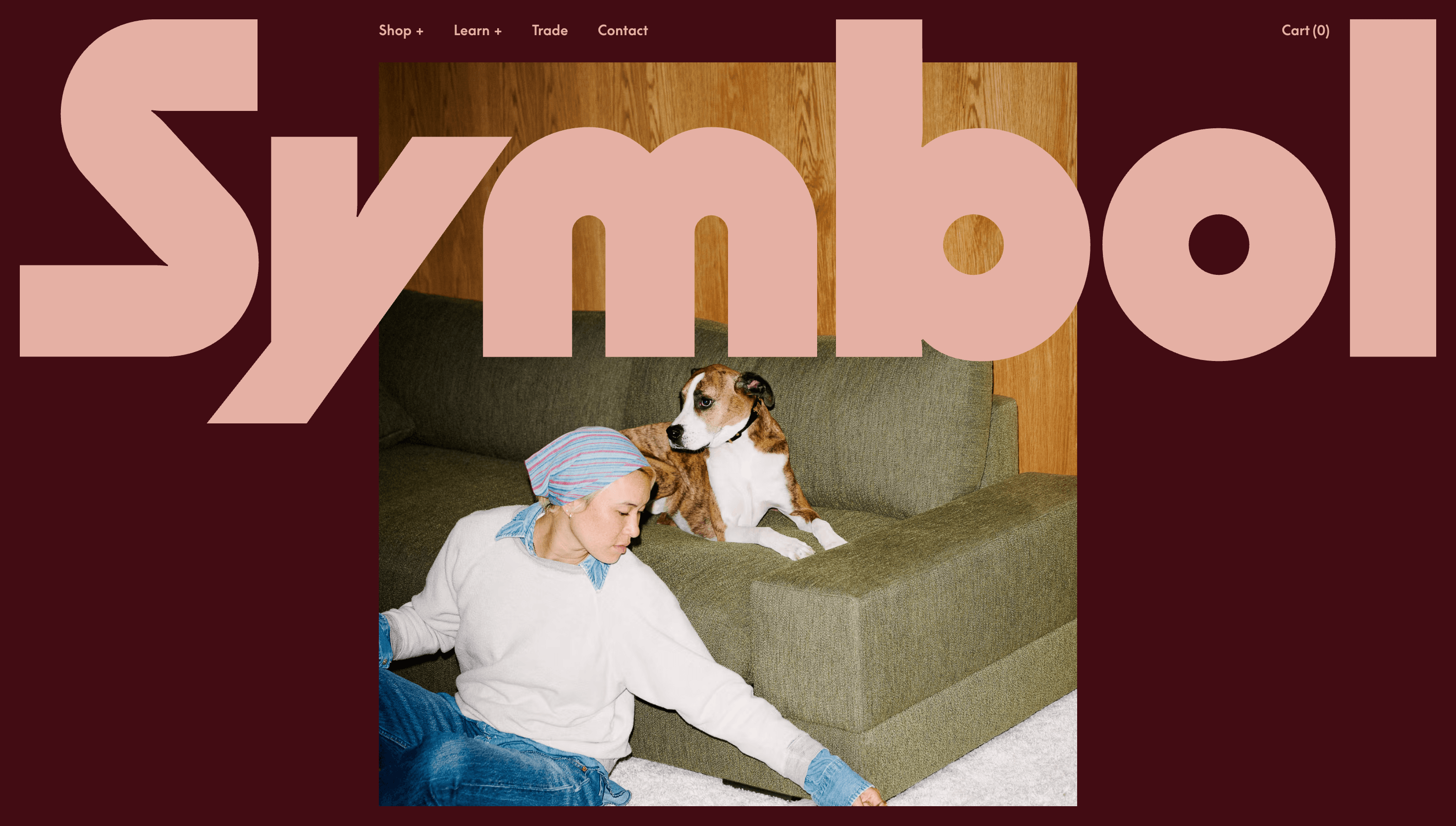 Symbol — Music, Modern website design