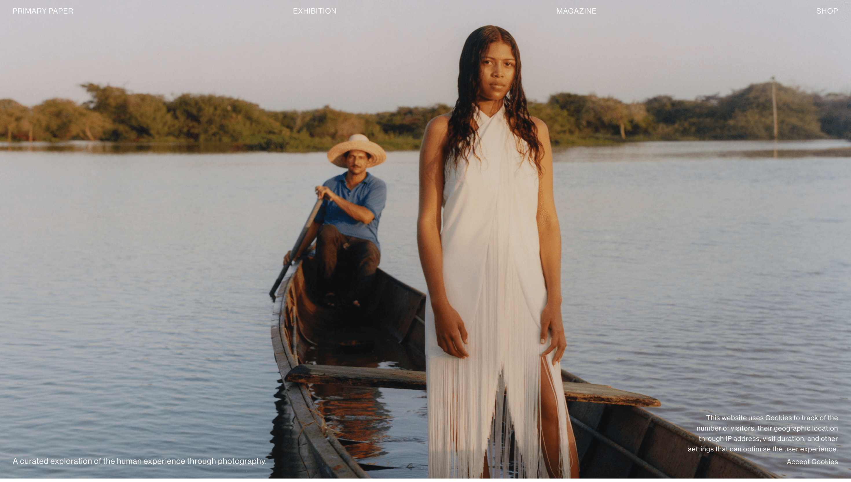 PRIMARY PAPER — Agency, Product website design