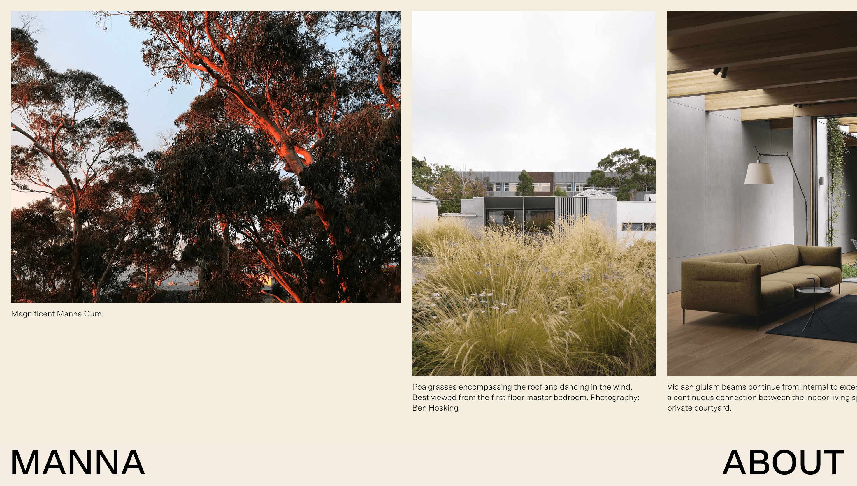 MANNA — Agency, Studio website design