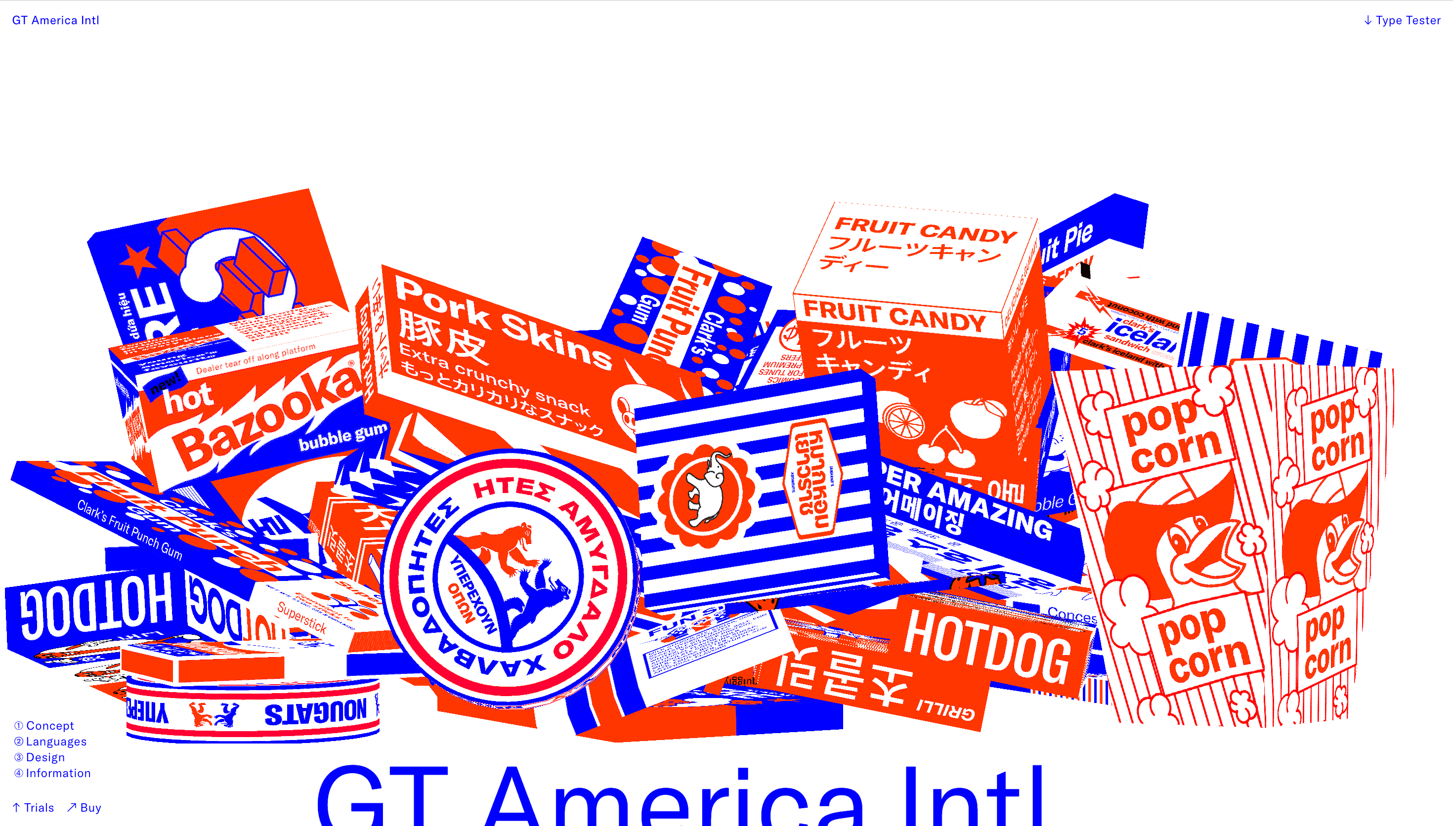 GT America Intl Typeface — Fonts, Typography website design