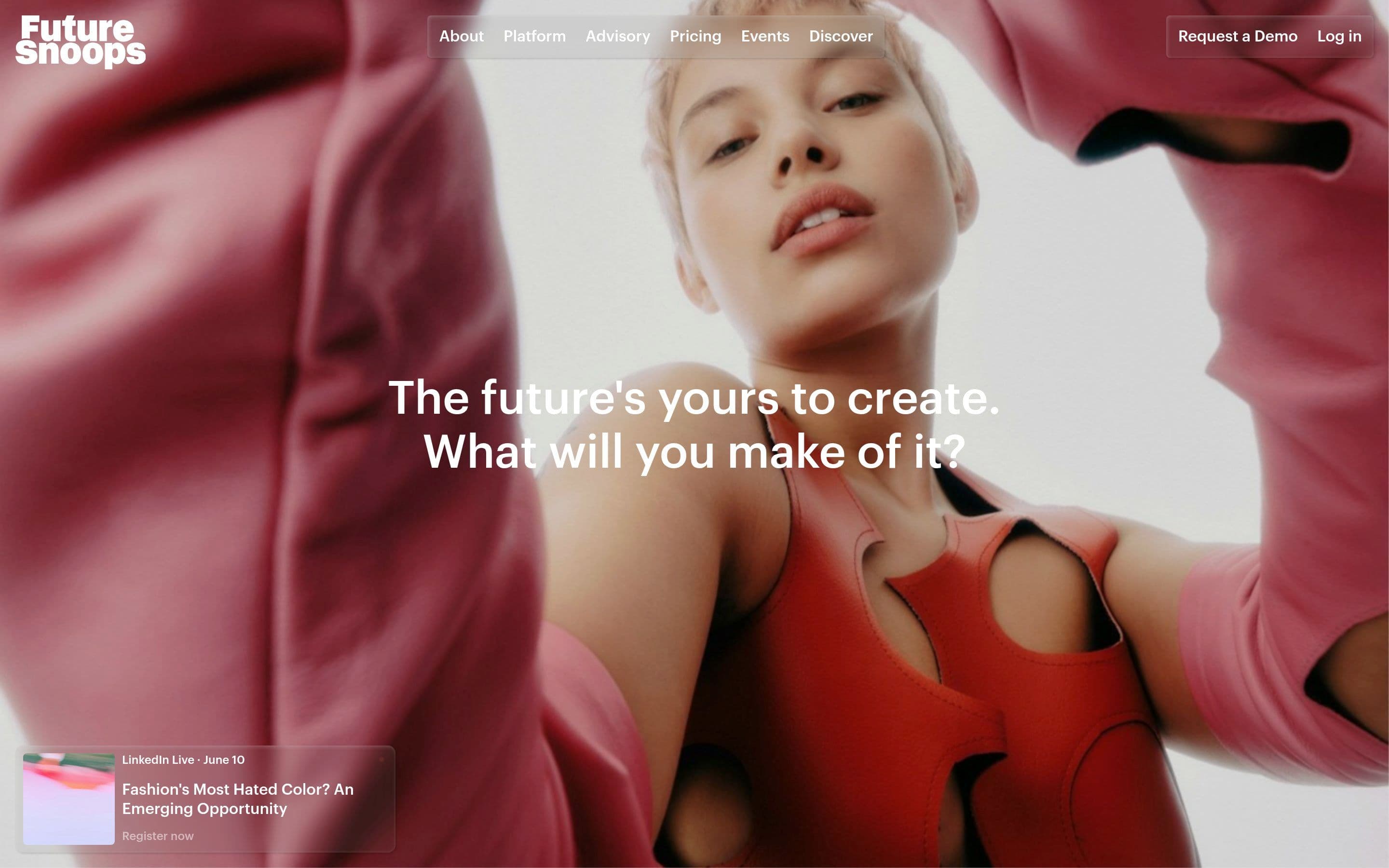 Future Snoops — Agency, Corporate website design