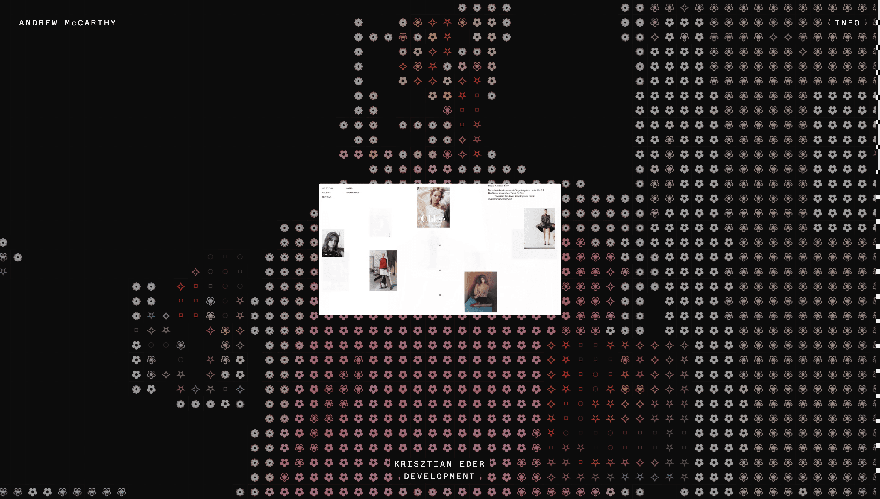 Andrew McCarthy — Developer, Web website design