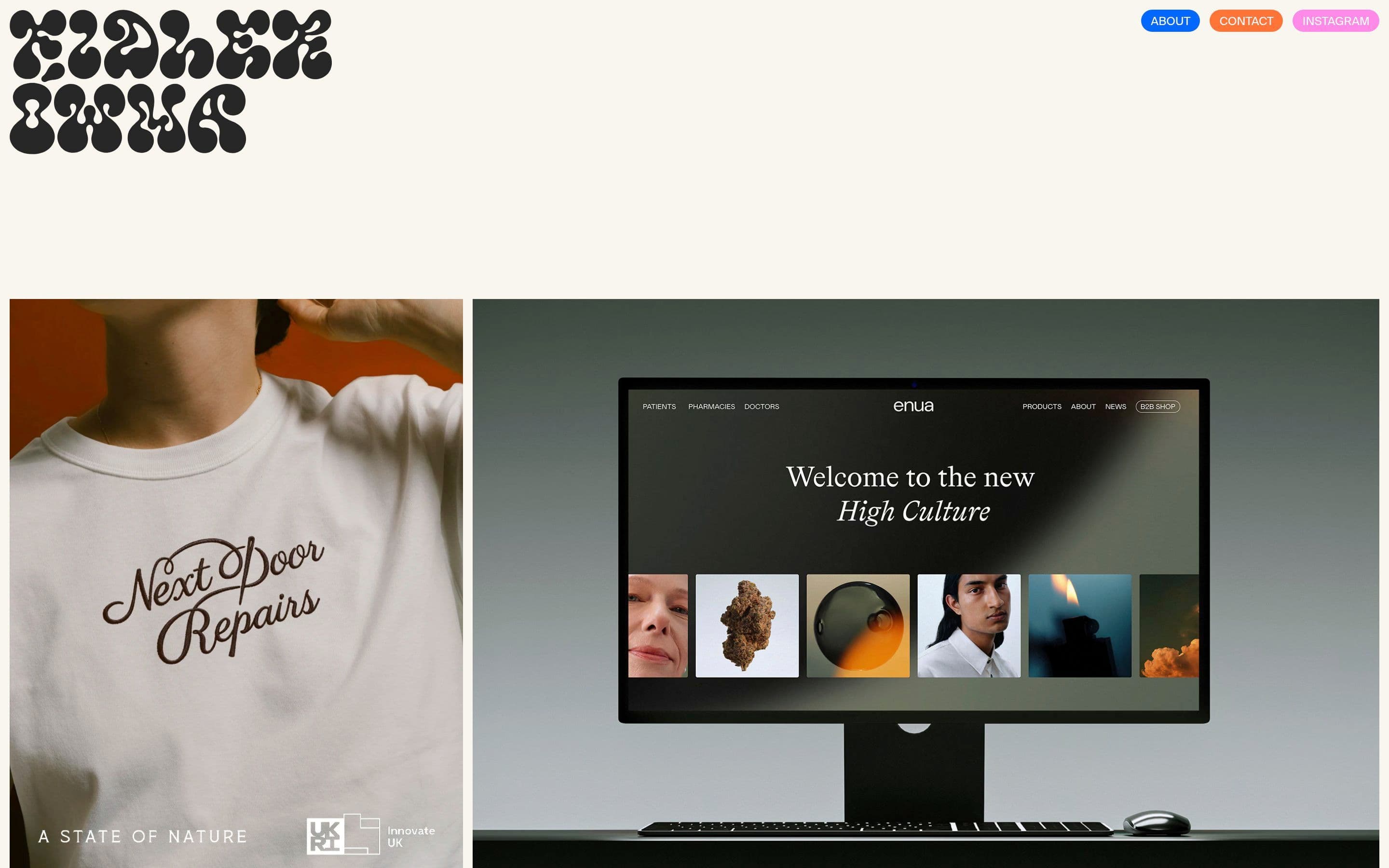 Fidlerówna — Portfolio, Designer website design