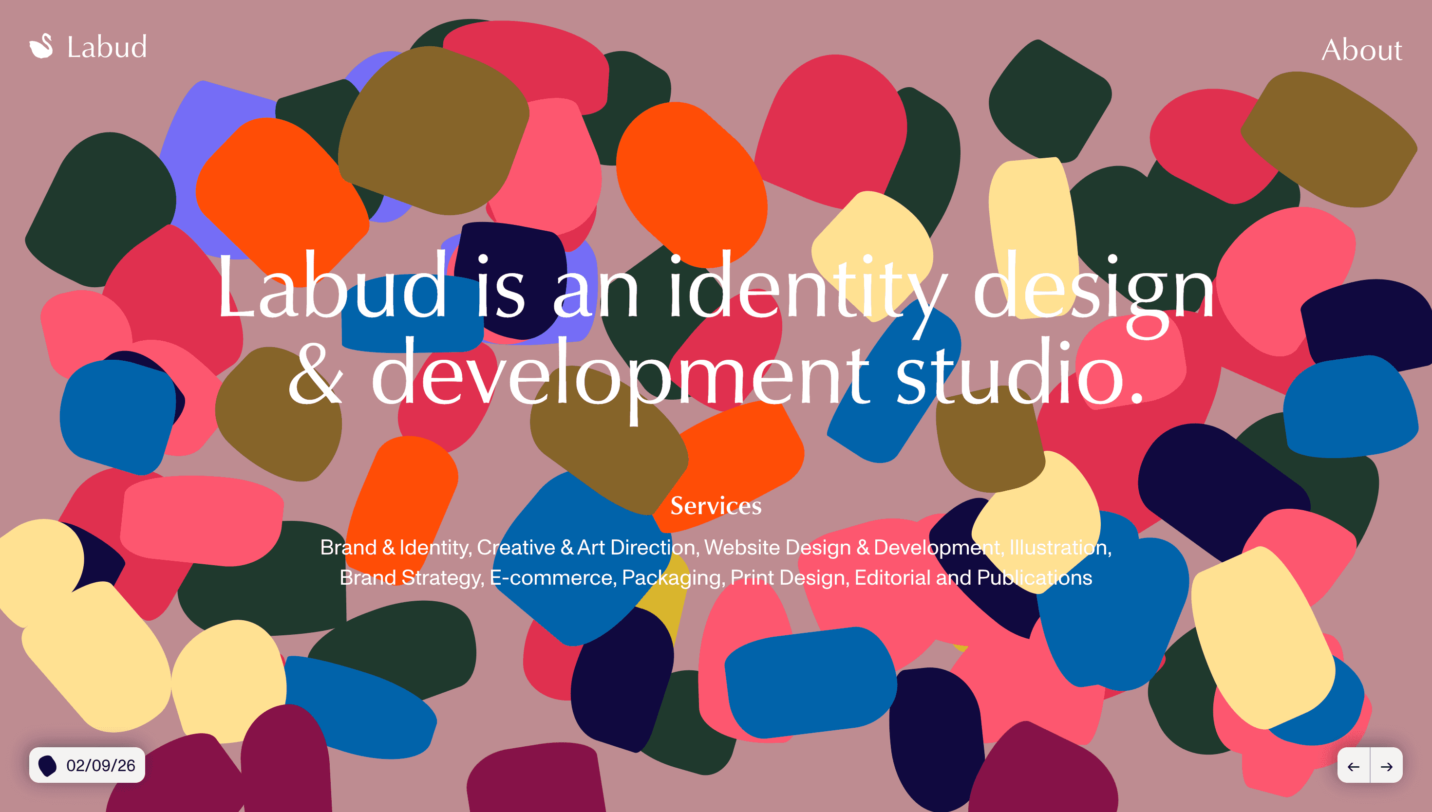 Labud — Agency, Studio website design