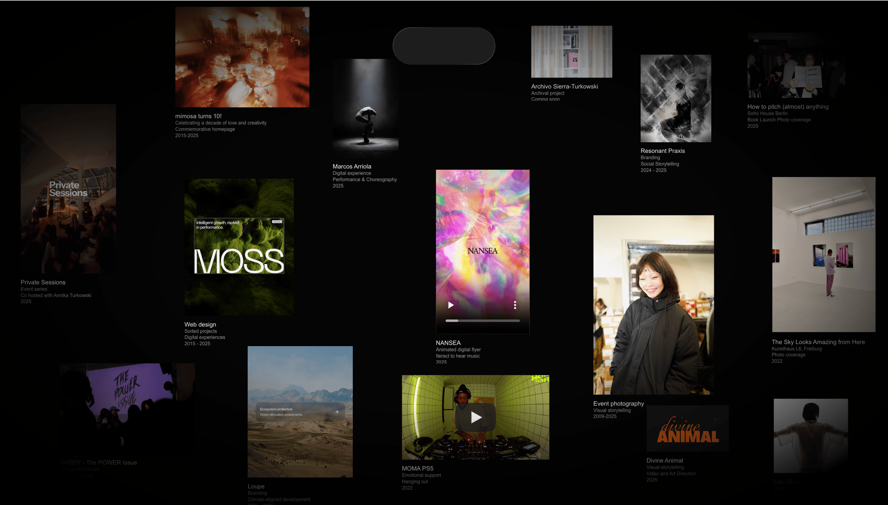 Danilo Sierra — Portfolio, Designer website design