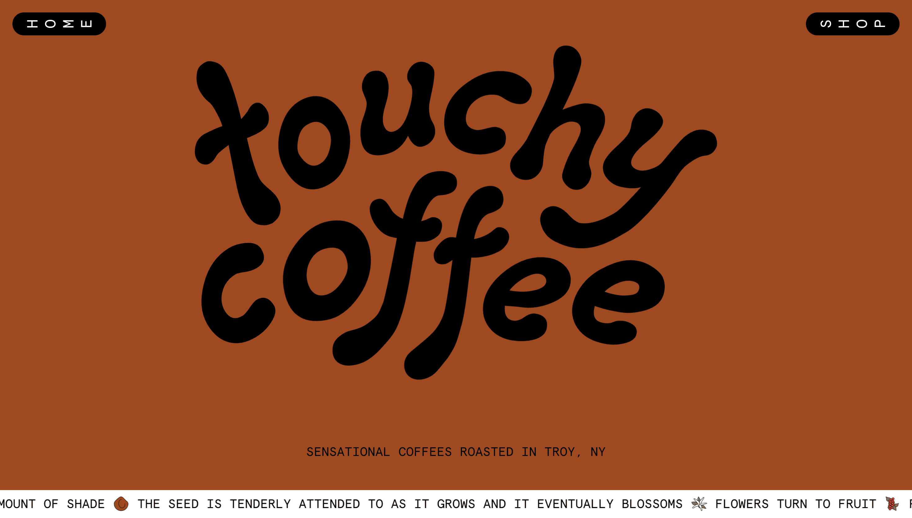 Touchy Coffee — Food, E-commerce website design