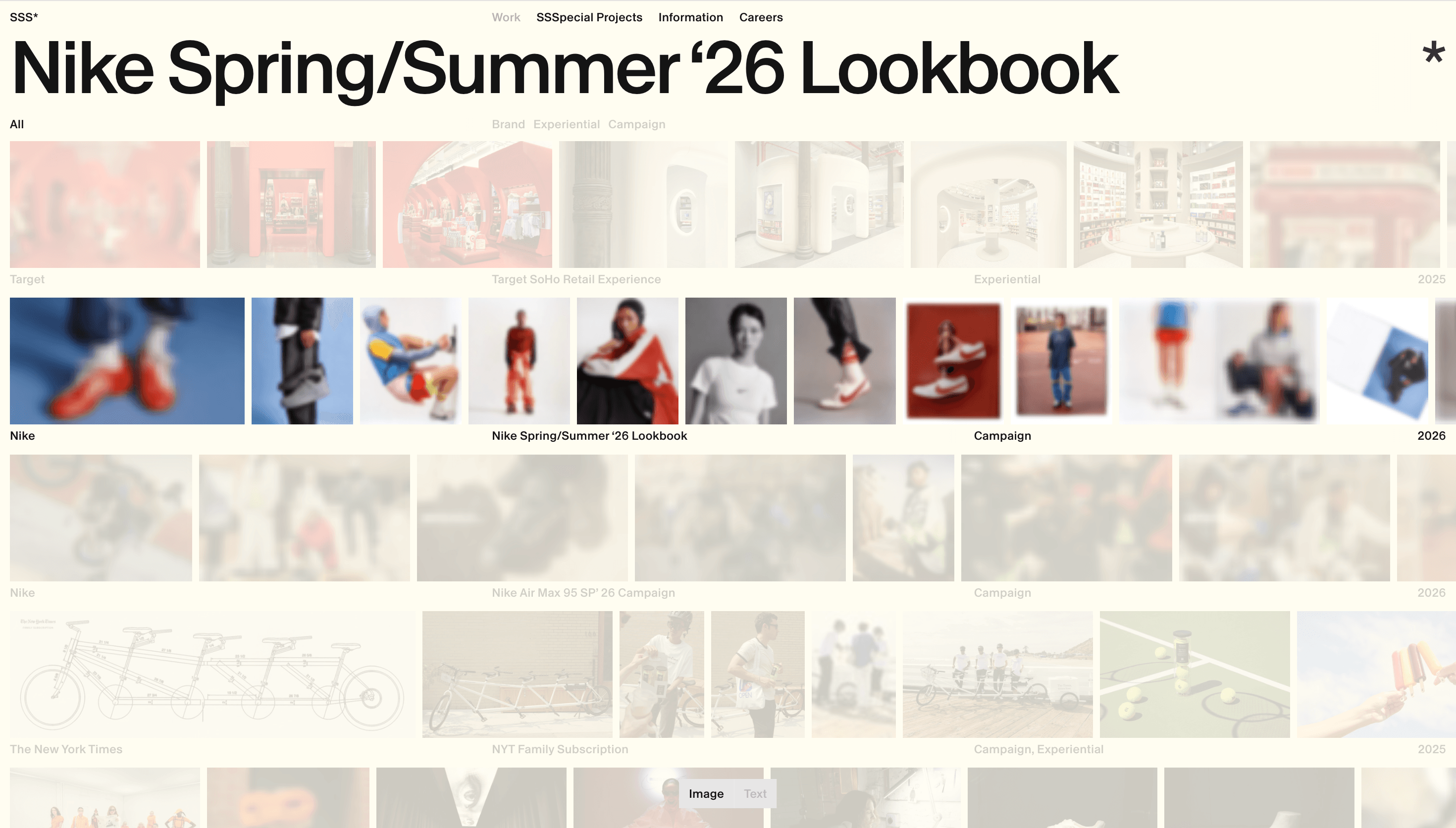 Something Special Studios — Agency, Studio website design